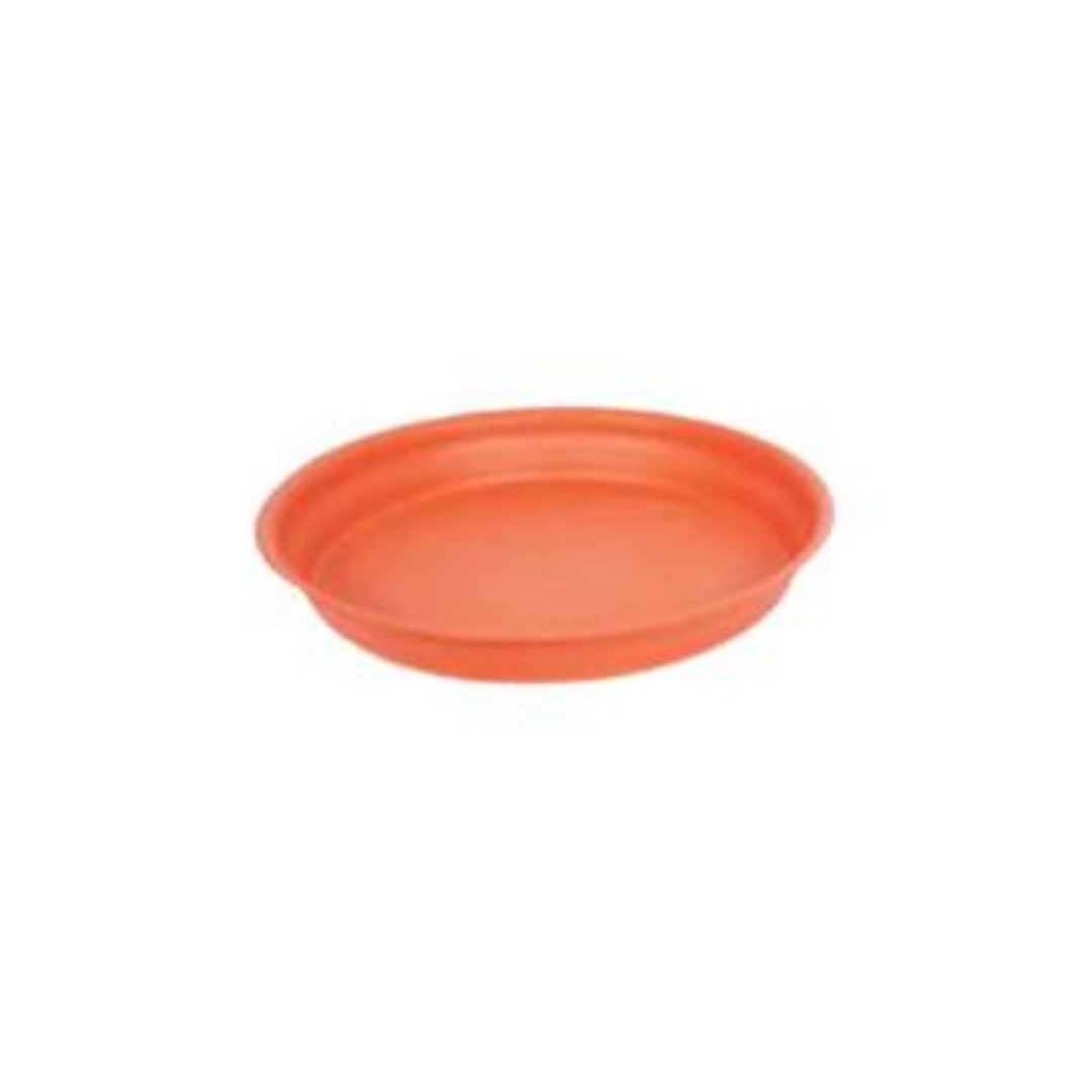 Kothari Planter Plate - 80 (Heavy)