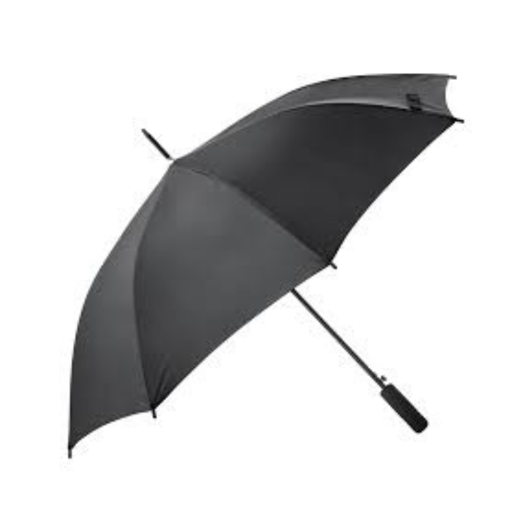 Citizen Umbrella