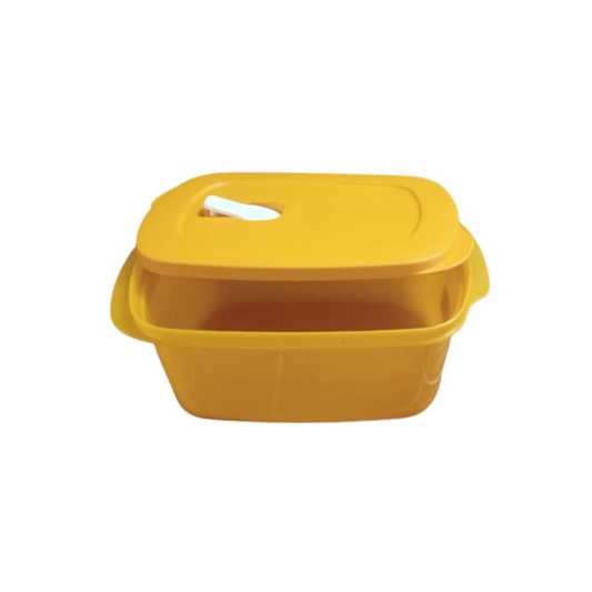 Tupperware Crystal Wave Rectangular Lunch Box