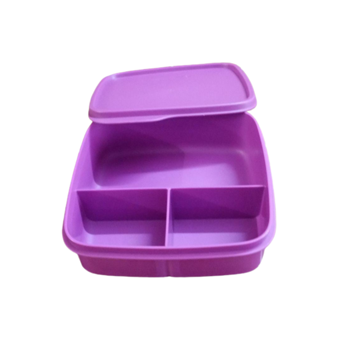 Tupperware Fun Meal Lunch Box