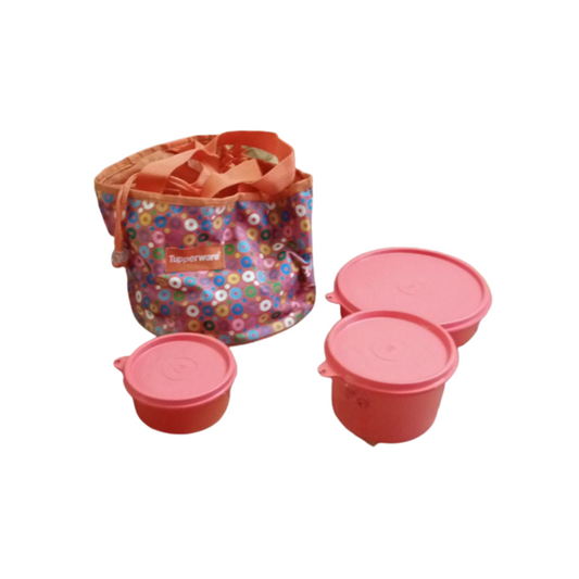 Tupperware Girls Day Lunch Box