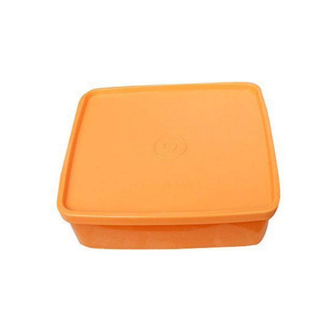 Nayasa Vital Square Lunch Box